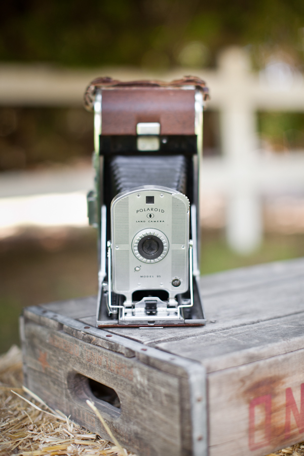 southern-vintage-arizona-diy-wedding