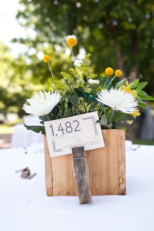 southern-vintage-arizona-diy-wedding