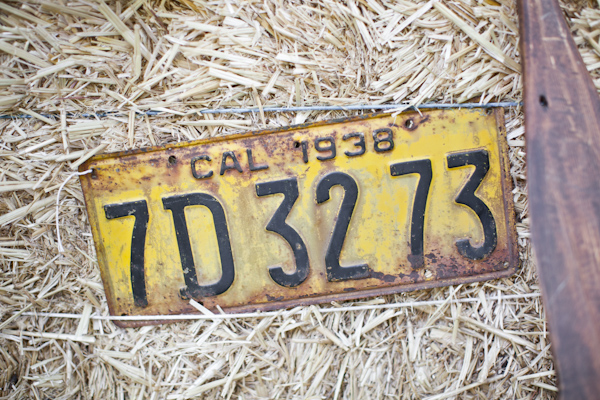 southern-vintage-arizona-diy-wedding