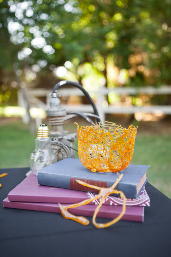 southern-vintage-arizona-diy-wedding