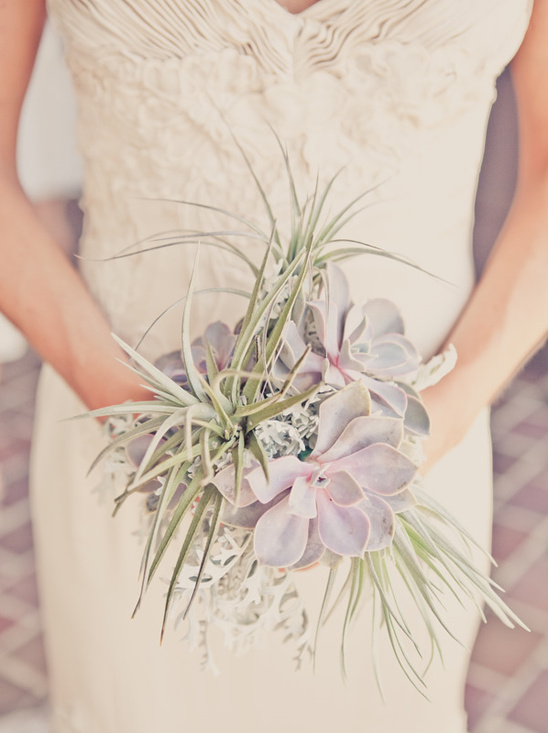 Bride holding a succulent and air plant bouquet