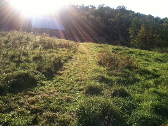 A Meander at a Hudson Valley Farm and Barn Venue