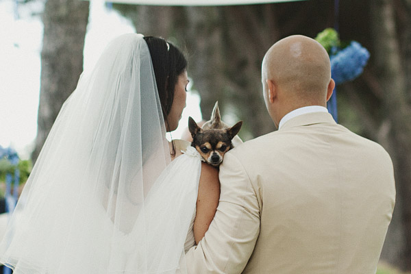 a-roman-wedding-by-jonas-peterson