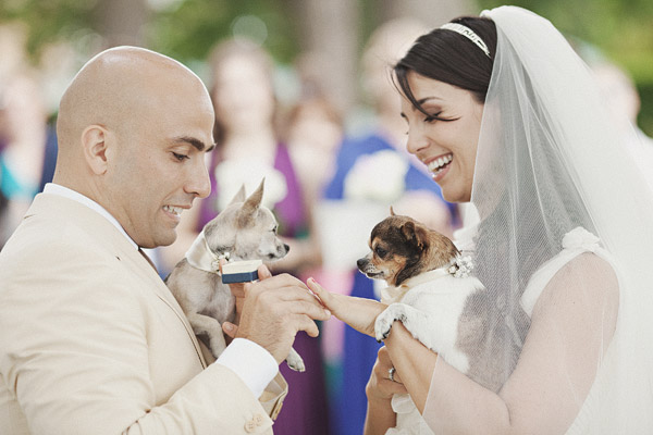 a-roman-wedding-by-jonas-peterson