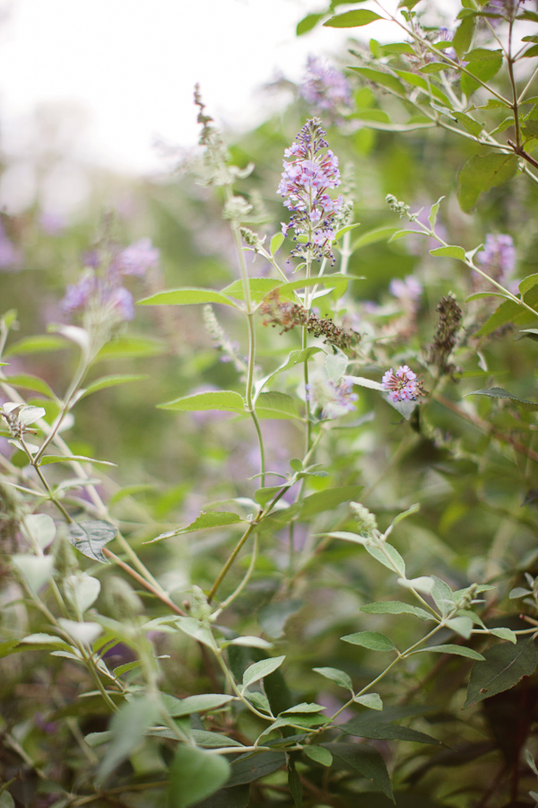 purple-wedding-ideas
