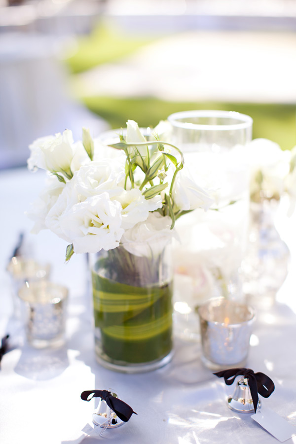 sierra-nevada-wedding