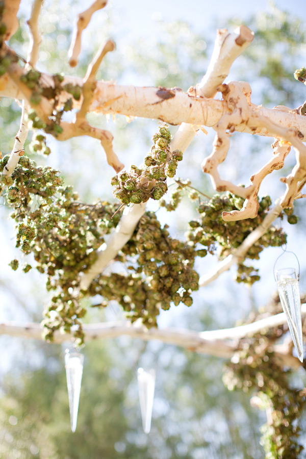 sierra-nevada-wedding
