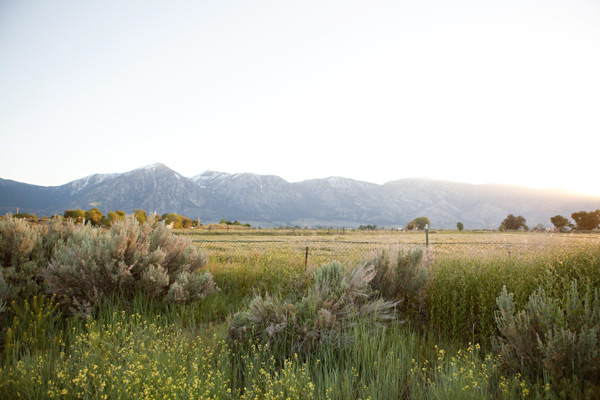 sierra-nevada-wedding