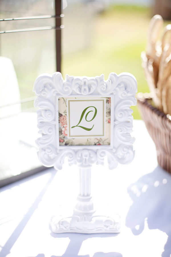 sierra-nevada-wedding