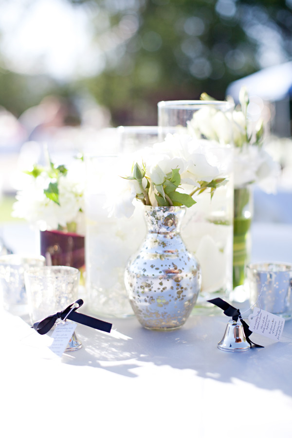 sierra-nevada-wedding