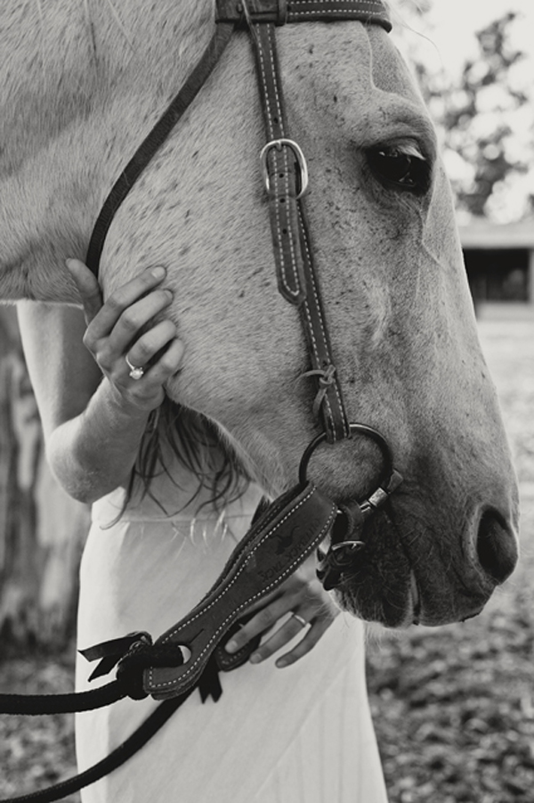 unique-engagement-photos-with-a-horse