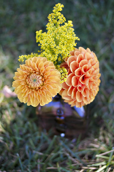 van-gogh-inspired-rustic-wedding