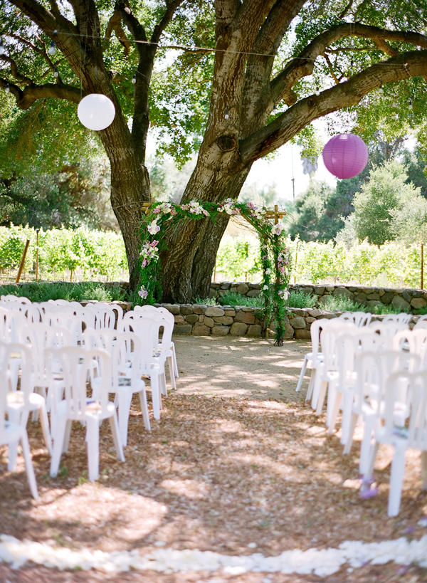 vineyard-purple-and-yellow-wedding