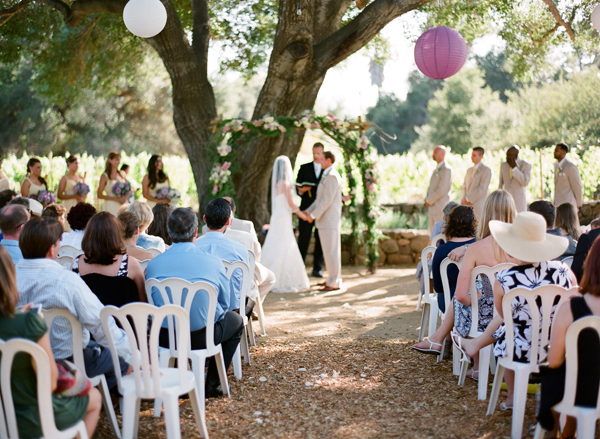 vineyard-purple-and-yellow-wedding