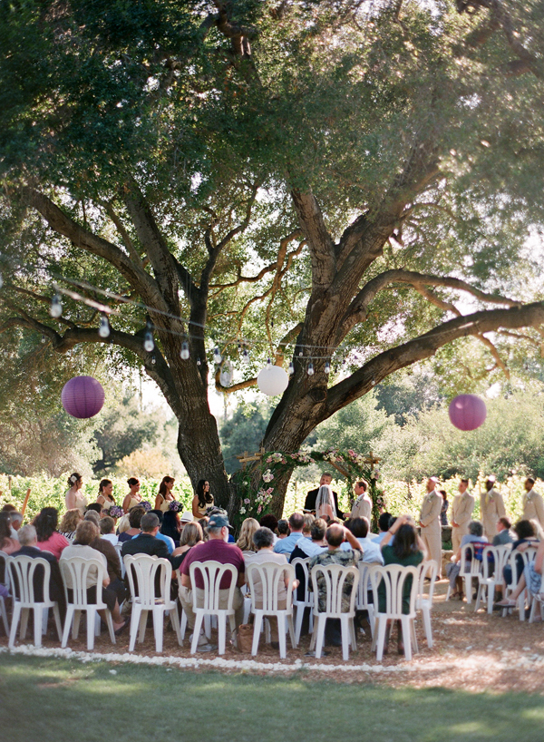 vineyard-purple-and-yellow-wedding