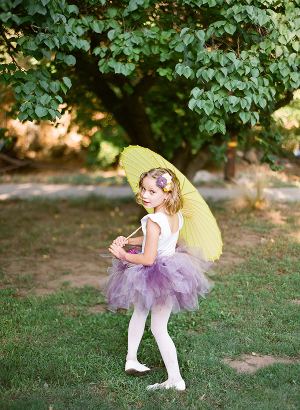 vineyard-purple-and-yellow-wedding