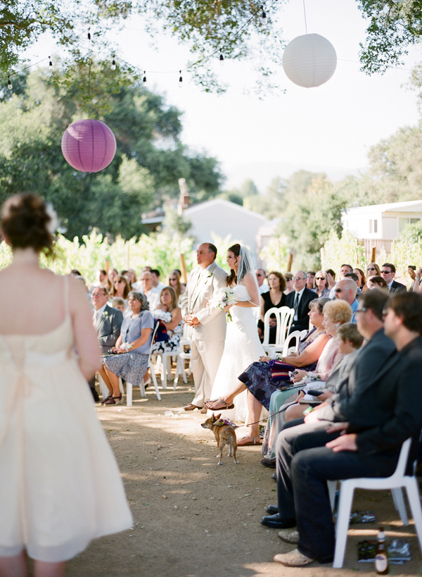 vineyard-purple-and-yellow-wedding