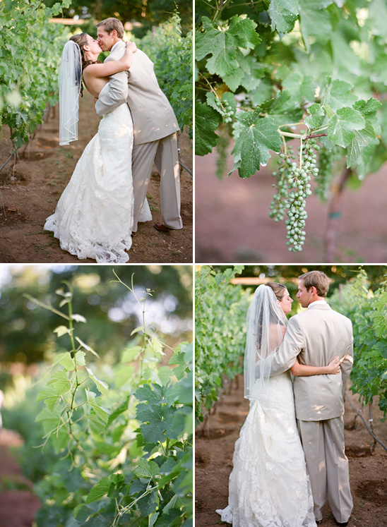 Romantic vineyard wedding of a bride and groom embracing