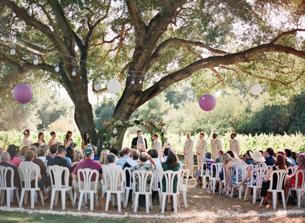 vineyard-purple-and-yellow-wedding