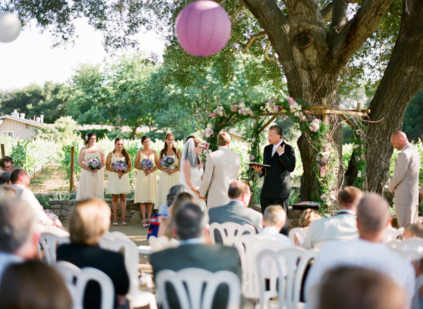 vineyard-purple-and-yellow-wedding