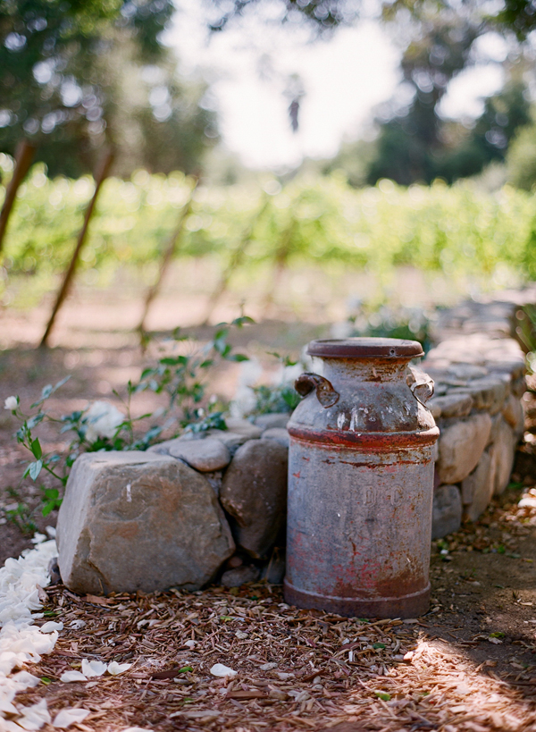 vineyard-purple-and-yellow-wedding