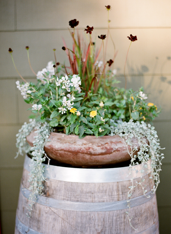 vineyard-purple-and-yellow-wedding