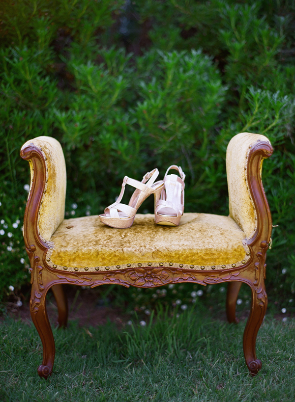 vineyard-purple-and-yellow-wedding