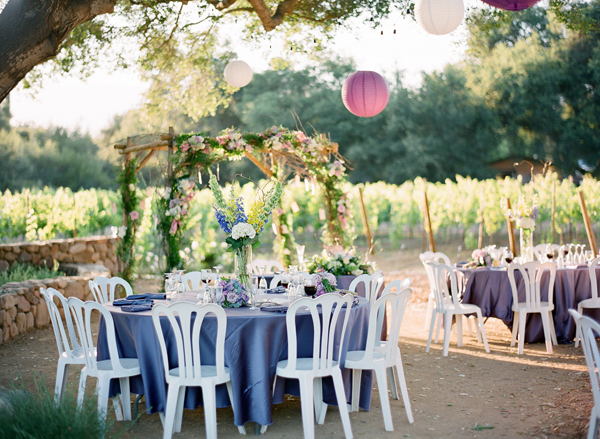 vineyard-purple-and-yellow-wedding