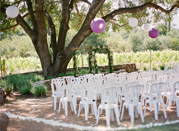 vineyard-purple-and-yellow-wedding