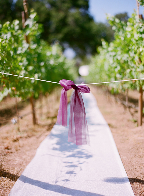vineyard-purple-and-yellow-wedding