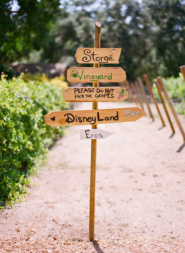 vineyard-purple-and-yellow-wedding