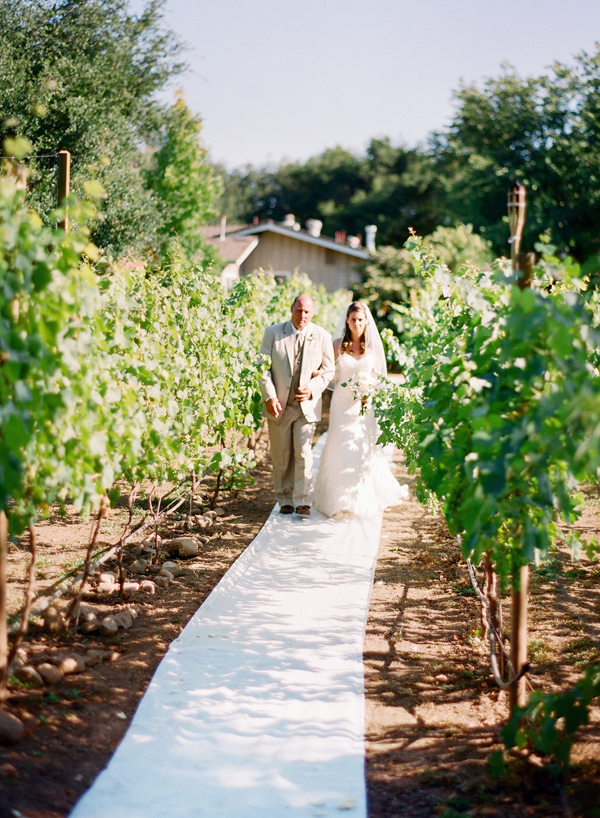 vineyard-purple-and-yellow-wedding