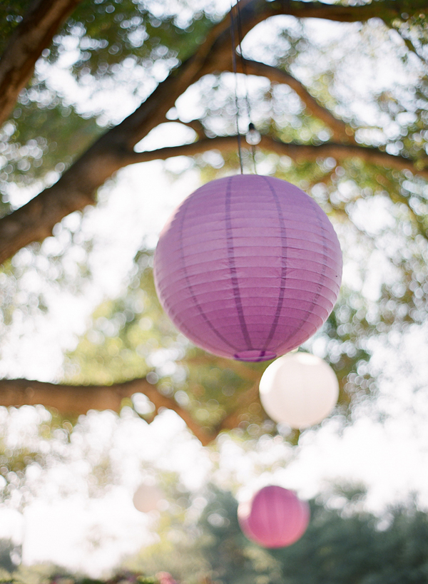 vineyard-purple-and-yellow-wedding
