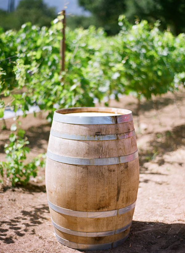 vineyard-purple-and-yellow-wedding