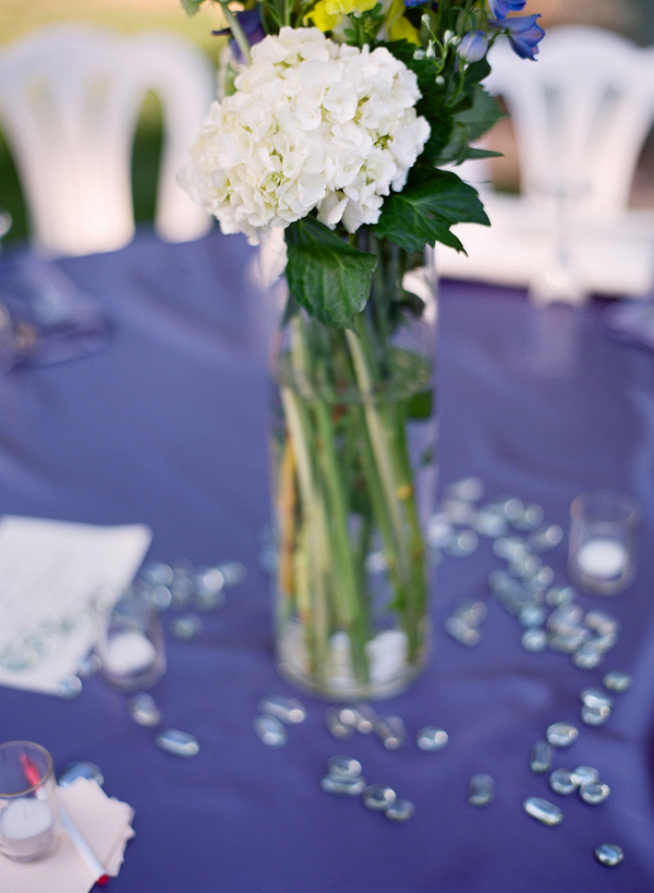 vineyard-purple-and-yellow-wedding