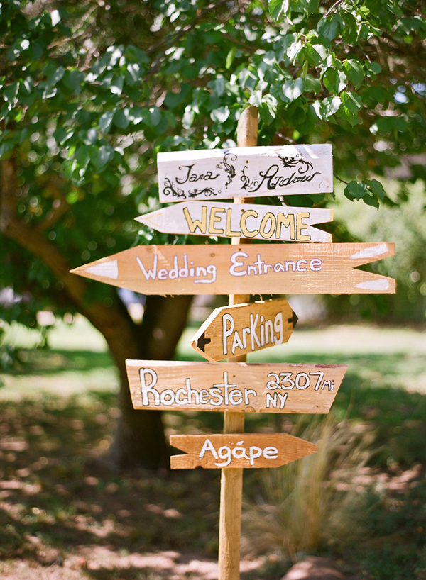 vineyard-purple-and-yellow-wedding
