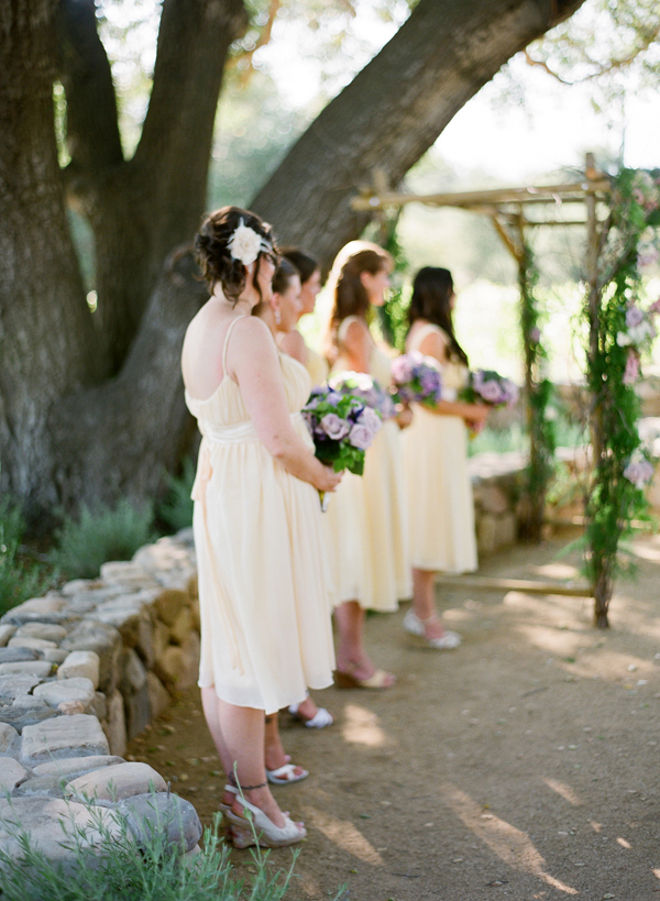 vineyard-purple-and-yellow-wedding