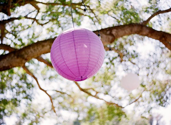 vineyard-purple-and-yellow-wedding