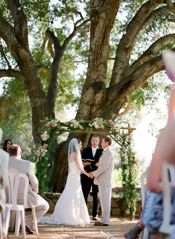 vineyard-purple-and-yellow-wedding