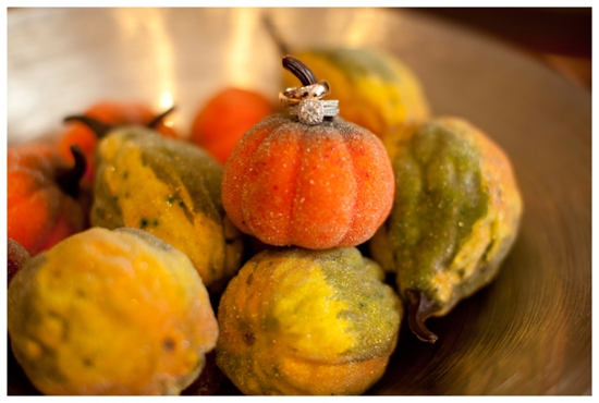 Wedding rings on top of an orange pumpkin with colorful gourds