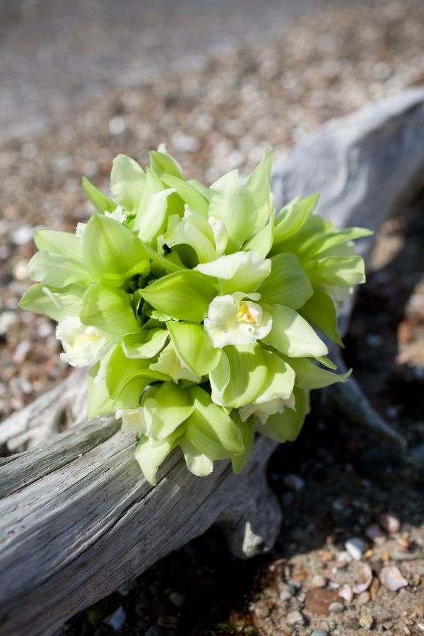cape-cod-wedding
