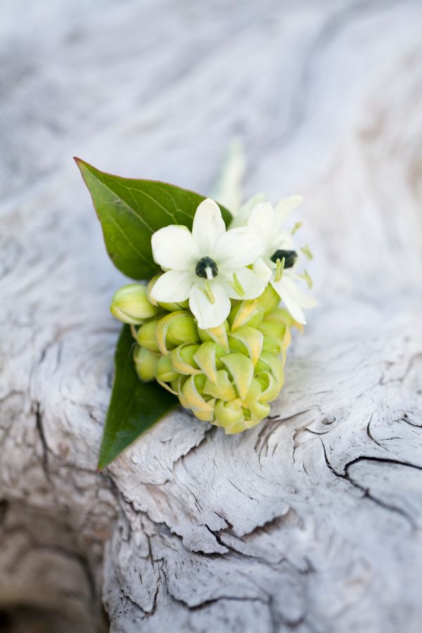 cape-cod-wedding