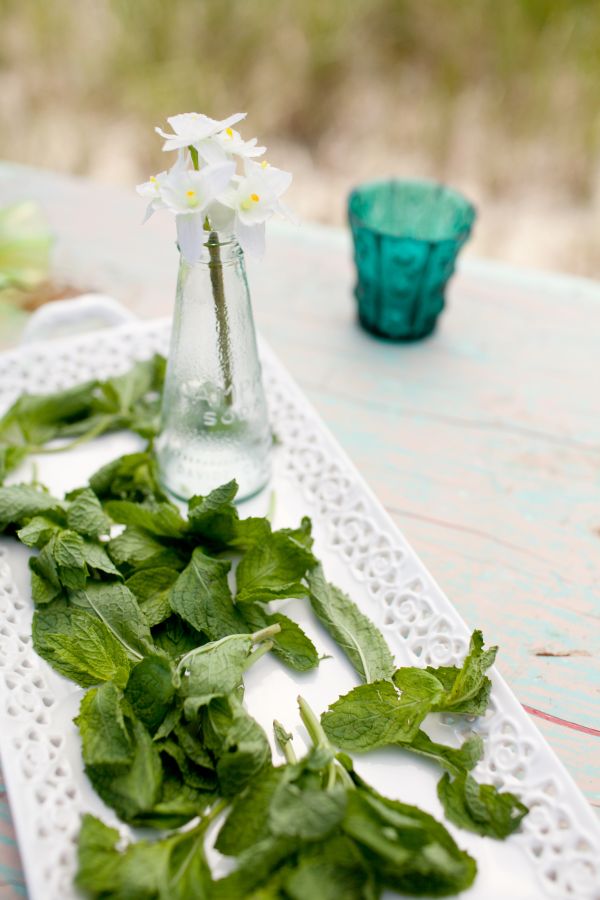 cape-cod-wedding