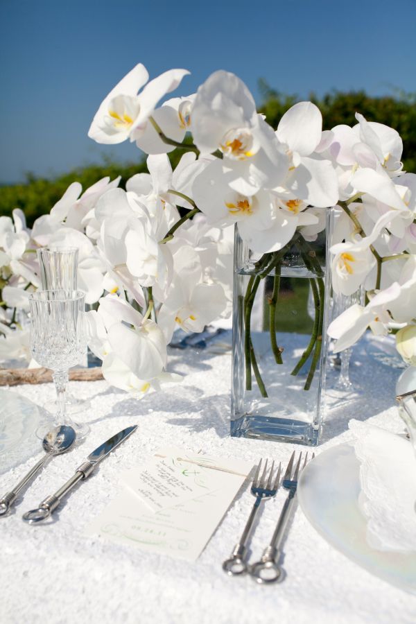 cape-cod-wedding