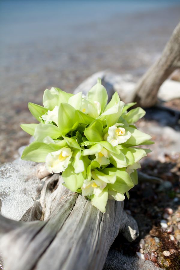 cape-cod-wedding