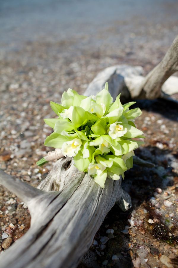 cape-cod-wedding