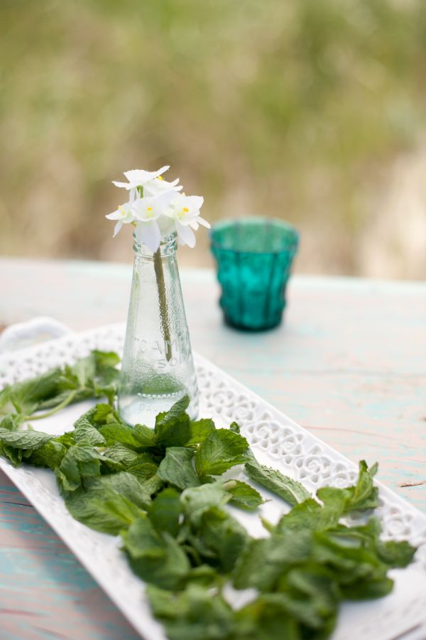 cape-cod-wedding