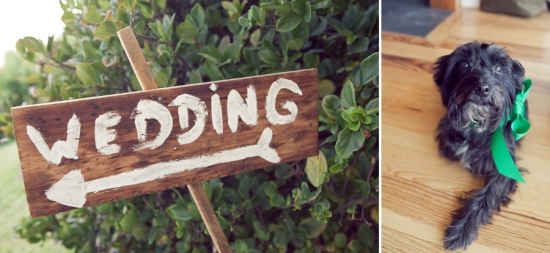 Wedding sign and adorable dog with a green bow, ready for the event