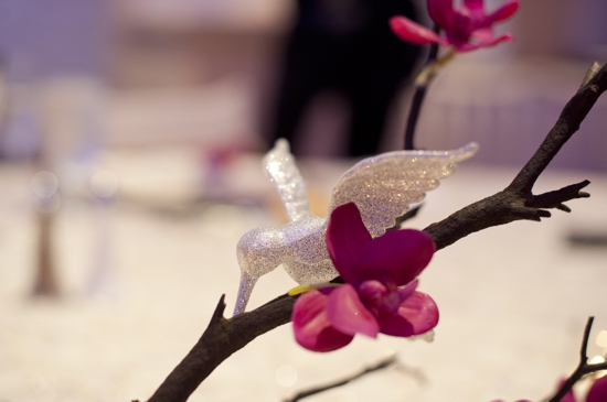 Sparkling hummingbird perched on branch with vibrant pink flowers