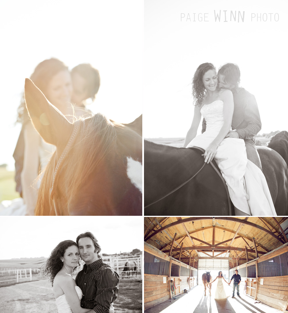 Country wedding photos featuring couple with horses and sunshine